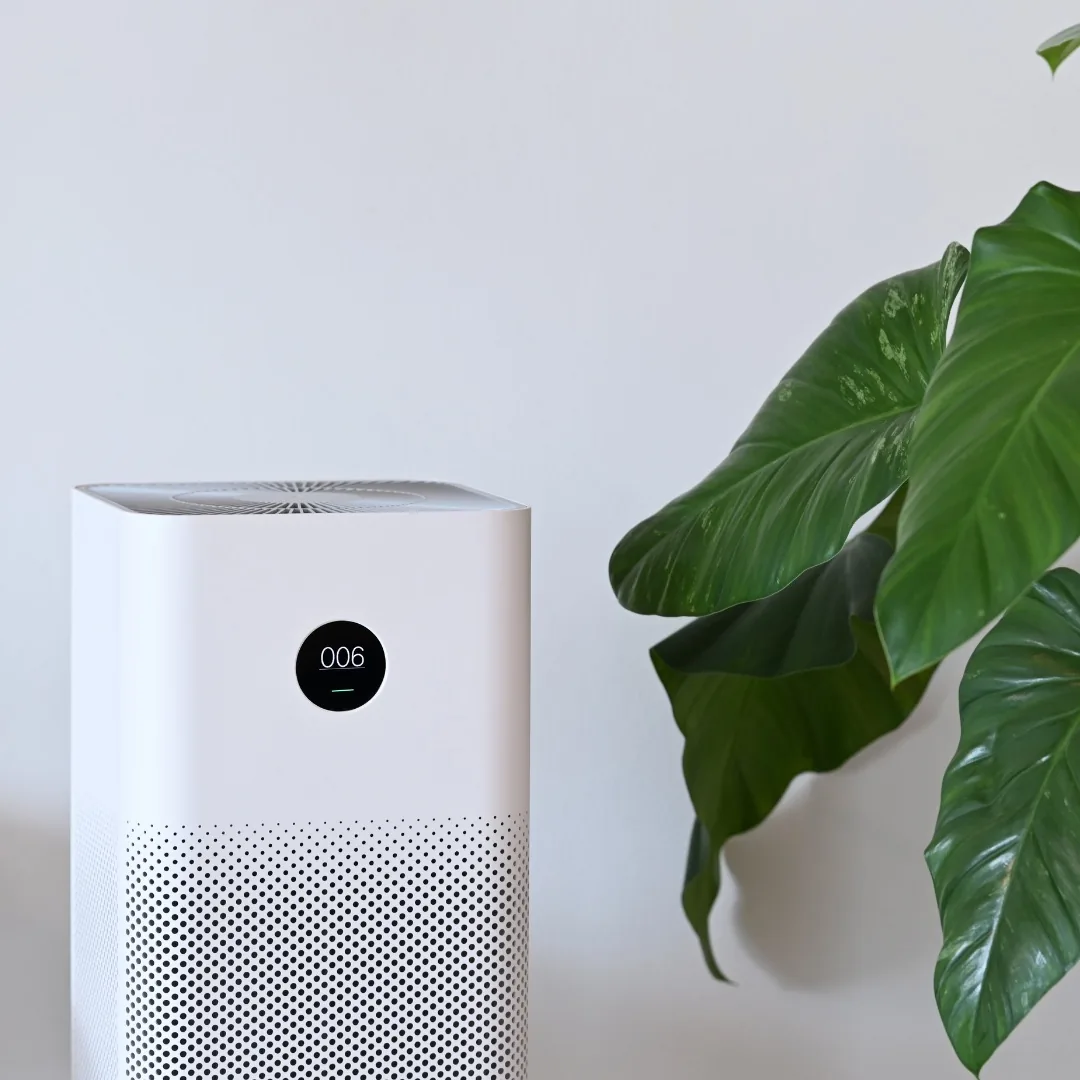 Air purifier running beside a houseplant to improve indoor air quality in an Avondale, AZ living room Air purifier running beside a houseplant to improve indoor air quality in an Avondale, AZ living room